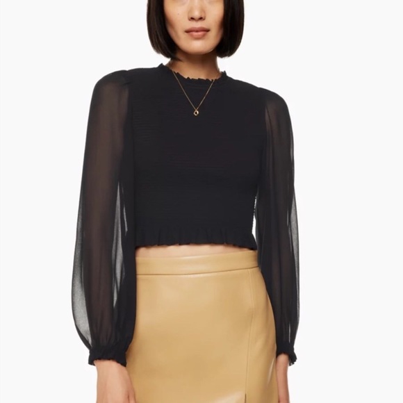 Aritiza Wilfred Tempest Smocked Chiffon Blouse - Picture 3 of 11